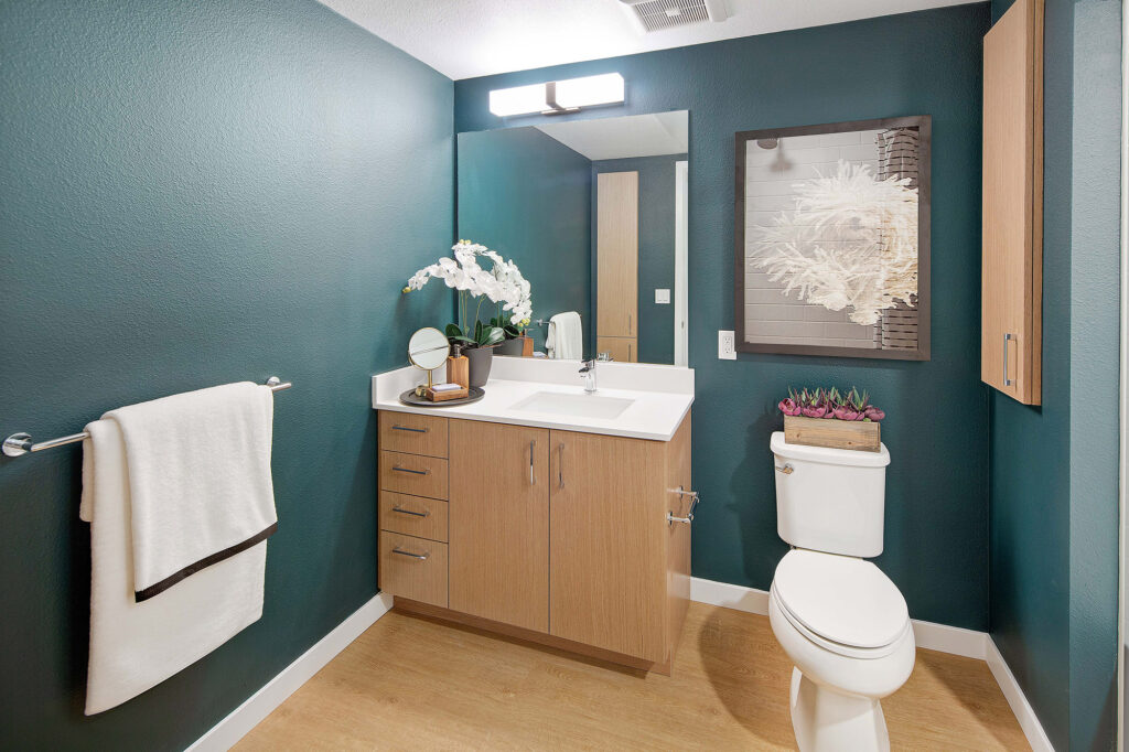Powder room with accent color, single sink vanity and toilet.